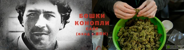спайс Ельня