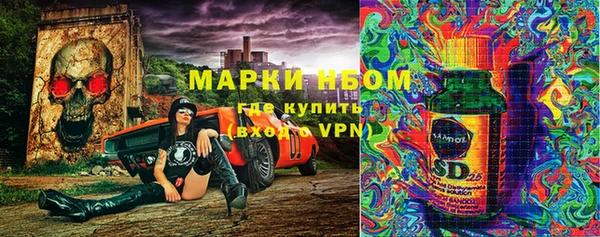 спайс Ельня