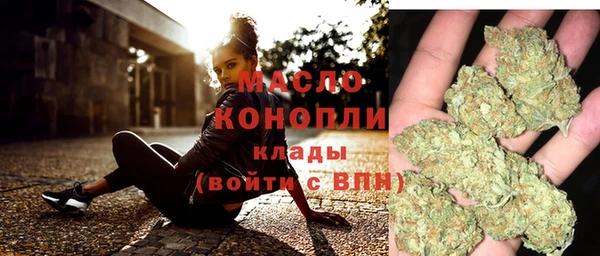 спайс Ельня