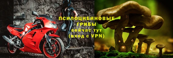 спайс Ельня